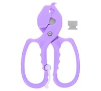 Homoyoyo Utensile per Potatura Multifunzionale per e Foglie Strumento per Rimuovere Spine e Rifilare Compatto e Portatile per Fioristi e Giardinieri