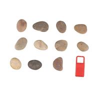 HOMSFOU 1 Set di Pietre Dipinte da Disegno Fai da Te Ciottoli Naturali Pietre per Dipingere Sassi Dipinti A Mano