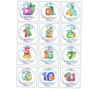 HOMSFOU 12pezzi Adesivi Mensili Per Sticker Per Registrazione Crescita Props Fotografici Per Design Creativo e Sicuro Memorie Speciali Del Anno