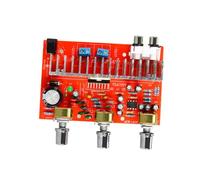 HOMSFOU 40w Scheda Amplificatore di Potenza Stereo Doppio Canale Modulo Amplificatore Dissipatore di Calore Grande Dc per Uso su Veicoli e Motociclette