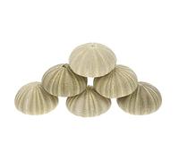 HOMSFOU 6Pezzi Vasi per Piante Aeree a Forma di Conchiglia, Materiale Sintetico Verde, 4-6cm, Decorazioni da Giardino da Tavolo per Casa, Forniture per Fai da Te