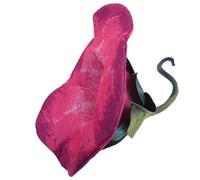 HOMSFOU Cappello da Strega Fiore Trombetta di Ipomea Leggero e Comodo in Poliestere per Feste di Halloween e Spettacoli su Palco Donna Adulto