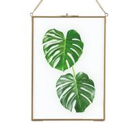 Homtone 21 x 30 cm Cornice in vetro da parete, cornice galleggiante, in vetro da appendere, in puro rame, per fiori, piante, foto fai da te, A4 Size