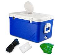 Homyl Frigorifero Portatile e Contenitore con Copero per Campeggio e Viaggi, Originale con lucernario, 50L