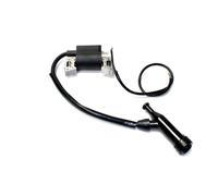 Honda Accensione Bobina Con Spina Tappo per GX120 GX160 GX200 Motori