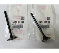 Honda Aspirazione Valvole XL250R XR250R XR250L OEM Nuovo 2) 14711-KK1-000 Set