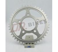 Honda CB1100F D 83 Pignone Posteriore In Acciaio AFAM 10605-45