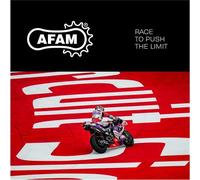 Honda CR125R H-T (2T MX) 87-96 Pignone Anteriore AFAM 13 520 20206+13