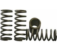 Honda Crf 150 R 2021-2023 Hinson Racing Hi-Temp Molla Frizione Kit CS290-4-0710