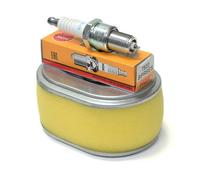 Honda GX110 & GX120 Filtro Aria 17210 ZE0 822 E BPR6ES Candela Spina Servizio