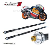 HONDA NSR 500 1984-2002 cartuccia ANDREANI 105/H37E MISANO EVO