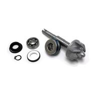 Sgr Honda Sh125/ps125 Water Pump Rebuild Kit Argento
