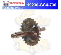 HONDA POMPA ACQUA ALBERO INGRANAGGIO 84-02 CR80R 03-07 CR85R 19230-GC4-730