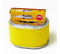 Honda Tune Up Servizio Kit per GX160 GX200 Spark Spina NGK BPR6ES E Filtro Aria