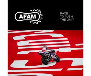 Honda VFR800F 14-20 AFAM Pignone Anteriore 16 525 20618-16