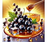 Honey Black Ice - Ribes nero, concentrato di aromi di ghiaccio al miele - Vegano - Sasami - 100ml