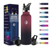 HoneyHolly Borraccia Termica 750 ML, Senza BPA, Bottiglia Termica, Sottovuoto a Doppia Parete, Borracce Termiche, 18/8 Acciaio Inox, Borraccia Acciaio, con Cannuccia, Termos per Palestra, Sport, Bici