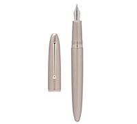 Hongdian 620 Penna stilografica Iridium, pennino extra fine, colore argento, strumento di scrittura liscio con convertitore e custodia in metallo