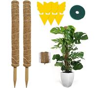 Hongyans 2 Pezzi Sostegno Piante Rampicanti Bastone Muschiato 50 cm Cocco Muschio Palo Totem in Cocco di Supporto per Piante per Pothos Pianta Monstera Deliciosa con Fascette da Giardino