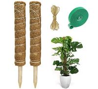 Hongyans 2 Pezzi Sostegno Piante Rampicanti Bastone Muschiato Cocco Muschio Palo Totem in Cocco di Supporto per Piante per Pothos Pianta Monstera Deliciosa 40 cm con 1 Rotolo Fascette da Giardino