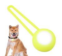 Honhoha Illumina la targhetta per Cani, Le luci per Collare del Cane | Ciondolo per Cani LED in Silicone - Luce Brillante per Cani, Forniture per Animali ad Alta visibilità per Zaini scolastici