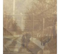 Honig, Ezekiel - Folding In On Itself