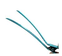 HONITANO 12pezzi Fermagli Per Capelli in Metallo Clip in Acciaio Inox Per Fermare Capelli Ribelli Fissare Acconciature Raccolte e Intrecci Da Bambina e Ragazze