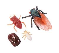 HONITANO 1set Giocattoli Educativi Animali Simulati Modelli Ecologici Per La Crescita e Evoluzione Degli Animali Perfetti Per Decorazioni e Attività Didattiche Adatti Giocattoli Per