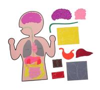 HONITANO 3 set Modelli Didattici Organi Umani in Materiale Sicuro Gioco Cognitivo Creativo per Kit Manuale DIY per Apprendimento Anatomico Design Ergonomico e Resistente