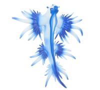 HONITANO Figurina Lumaca di Mare Decorativa in Plastica Resistente Riproduzione Realistica di Lumaca Marina per Collezionisti e Appassionati di Biologia Marina Ornamento Vivace per Casa