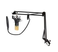 HONITANO Microfono Condensatore Professionale Nero con Kit Completo, Supporto in Lega, Filtro Anti-vento e Scheda Audio Integrata per Studio e Broadcasting