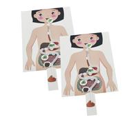 HONITANO Set 2 Modelli Fai da Te Dell'apparato Digerente Umano, Giocattoli Educativi Scientifici per Bambini, Materiali Didattici Interattivi per Apprendimento Scolastico e Attività