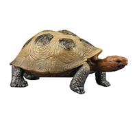 HONITANO Testuggine Terrestre Realistica in Pvc Riproduzione Di Testuggine Per Ragazzo Ragazza Giocattolo Educativo Per Progetti Scolastici