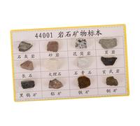 HONMEET 12 Pezzi Campioni Rocce Minerali per Esposizione Didattica Compatto e Portatile per Aula Geologia e Laboratorio per Studenti e Appassionati