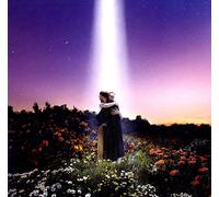 HONNE Let's Just Say the World Ended a Week from Now, What Would You (Vinyl LP)