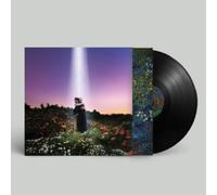 HONNE Let's Just Say the World Ended a Week from Now, What Would You (Vinyl LP)