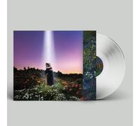 HONNE Let's Just Say the World Ended a Week from Now, What Would You (Vinyl LP)