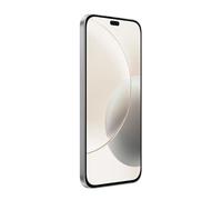 Honor 400 Pro 17 cm (6.7") MagicOS 9.0 5G 12 GB 512 GB 5300 mAh Grigio