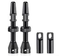 Honseadek Cerchi 44 mm in acciaio inox Tubeless Mtb Lock per valvola e strada per bici 2 pezzi con guarnizione ermetica Oring rimovibile nucleo stelo dado e 2 S