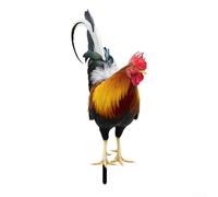 Honseadek Decorazione da giardino, prato, patio, resistente allo sbiadimento, per un luogo semplice e durevole, in acrilico, ornamento da giardino resistente alle intemperie per esterni decorazione