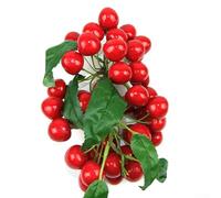 Honseadek Longan Home, litchi artificiale, realistico, mirtillo, ciliegie, finta schiuma di plastica, decorazione per cucina, sala da pranzo, vetrina, decorazione Fl (E)