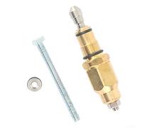 Honseadek Valvola di scarico per pompa idropulitrice, AR42118, ricambio compatibile con modelli RMV RMW, valvola ad alta pressione in ottone e acciaio inox