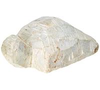 Honsell Tartaruga Grezza, Statuetta prefabbricata in Pietra ollare, Circa 10 cm, per Lavorare con raspa e Lima, Ideale Anche per i Bambini, Multicolore
