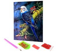 Hoobee DIY 5D Diamond Painting Kit Completo DrillUccello, Pittura Diamante fai da te Animale, Punto Croce Kit Arte E Artigianato Per Casa E Pareti Decorazione 30x40 cm