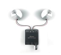 HOOCI 2 * 15W Bluetooth Audio Portatile Risonanza Vibrazione Altoparlante Classe D Amplificatore di Potenza Subwoofer FAI DA TE 2.0 Sistema HiFi (Color : Speaker and amp)