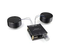 HOOCI 2 * 25 W Audio Portatile Risonanza Vibrazione Altoparlante Bluetooth-Compatibile FAI DA TE Stereo Classe D Amplificatore di Potenza Subwoofer Sistema HiFi (Color : 40W 24V2A)