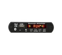 HOOCI 2 * 25W Bluetooth Classe D Stereo Audio Amplificatore di Potenza Digitale Scheda di Decodifica Altoparlante FAI DA TE USB AUX Record Radio FM Modulo Lettore MP3 (Color : 917BT)