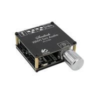 HOOCI 2 * 50 W / 2 * 100 W Bluetooth 5.0 Scheda amplificatore di potenza digitale AUX TPA3116 Altoparlante 2.0 CH Stereo Home Music Modulo wireless Audio AMP (Color : C100H)