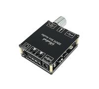 HOOCI 2 * 50 W / 2 * 100 W Bluetooth 5.0 Scheda amplificatore di potenza digitale AUX TPA3116 Altoparlante 2.0 CH Stereo Home Music Modulo amplificatore audio wireless (Color : C100H)
