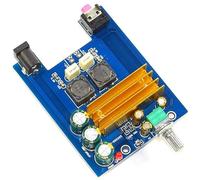 HOOCI 3116 Scheda Amplificatore di Potenza Audio Digitale Mono da 100 W 18 V-24 V